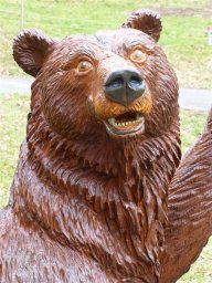 tj13-14 pferde titel oeschs 112